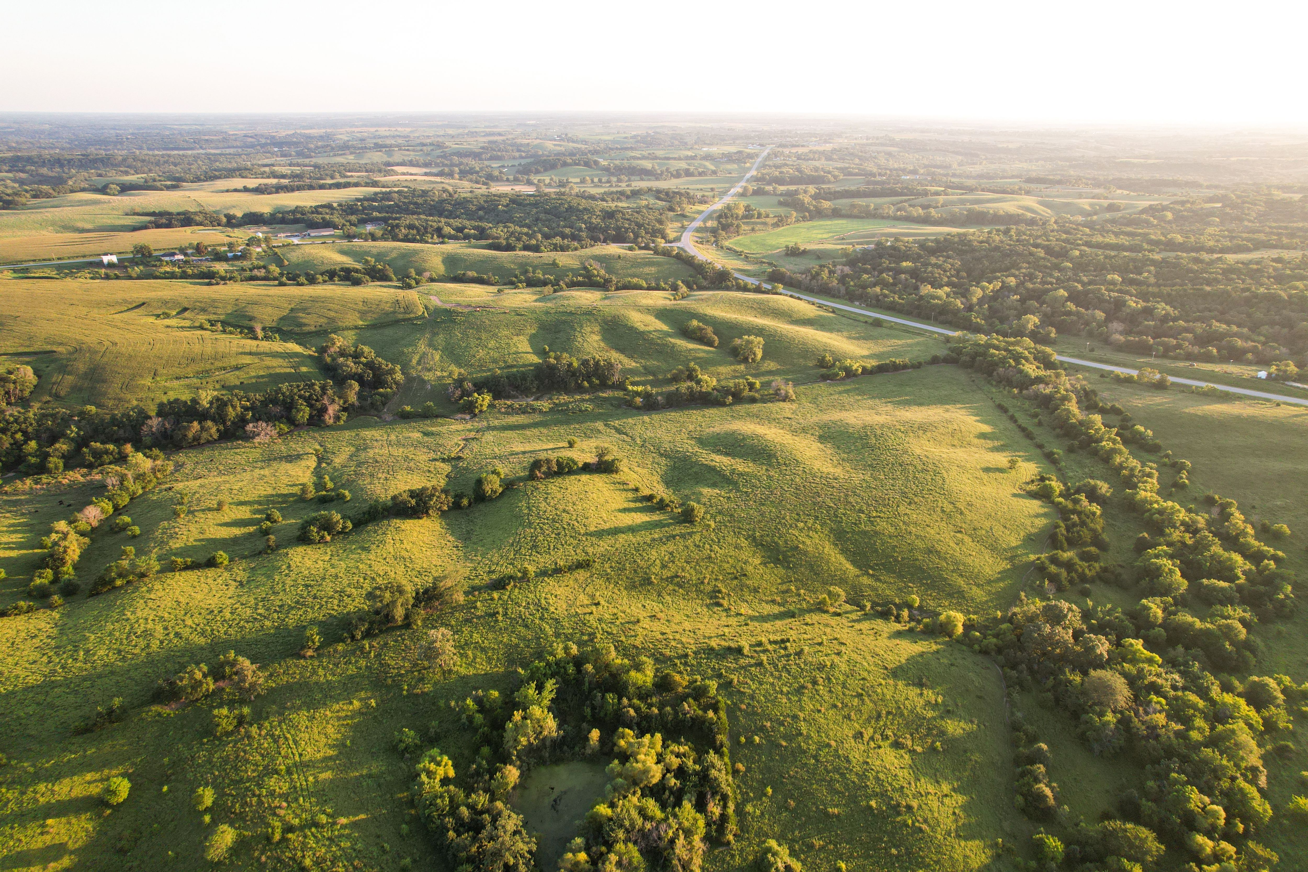 Listing Photo: Photo Aug 20 2025, 7 27 51 PM